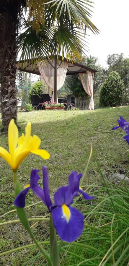 Hotel Casa Betania Casa Per Ferie à Florence Extérieur photo